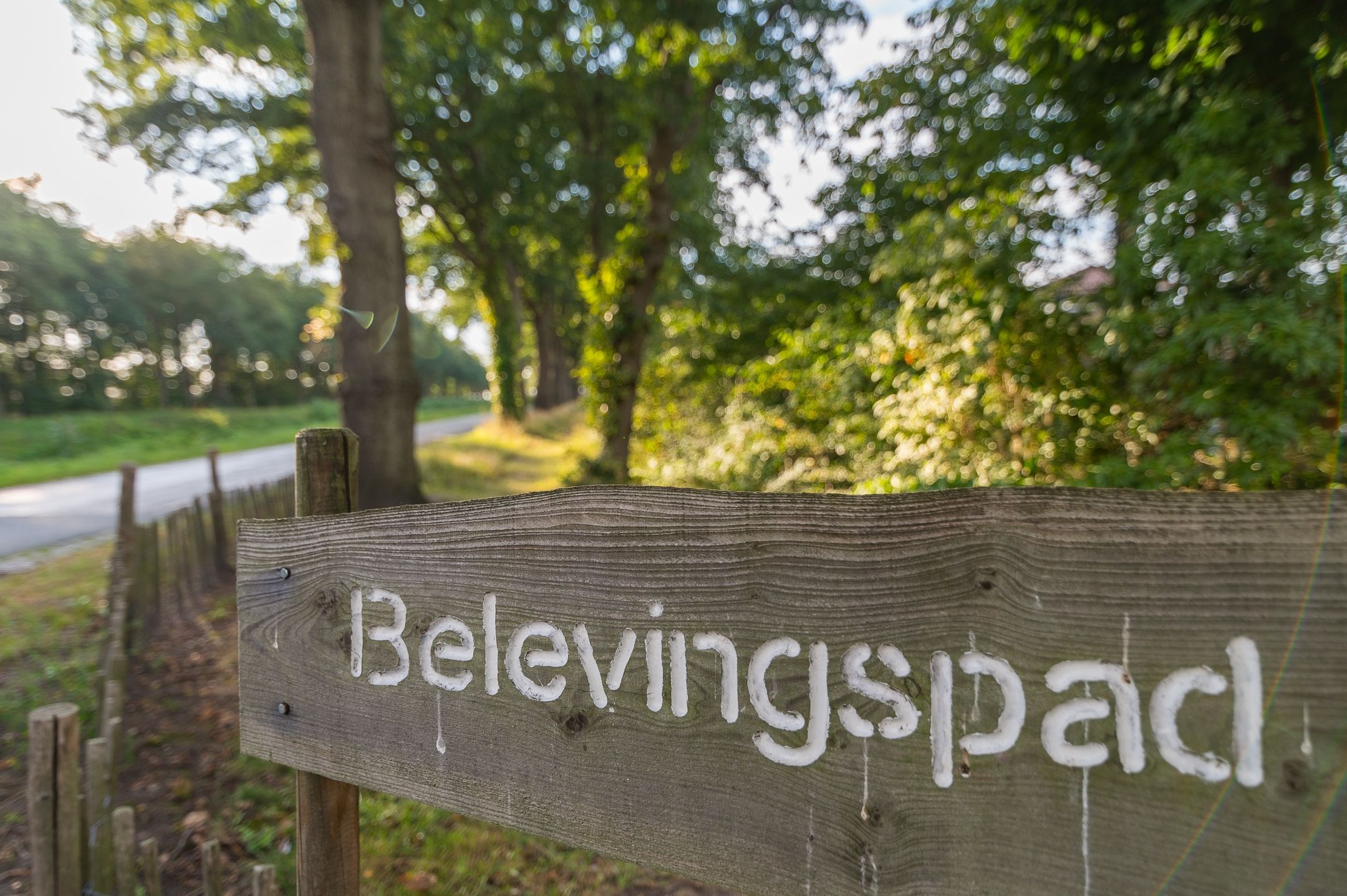 Foto 54 van Het Zwiggelterveld 108