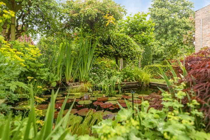 Foto 33 van De Bleker 33