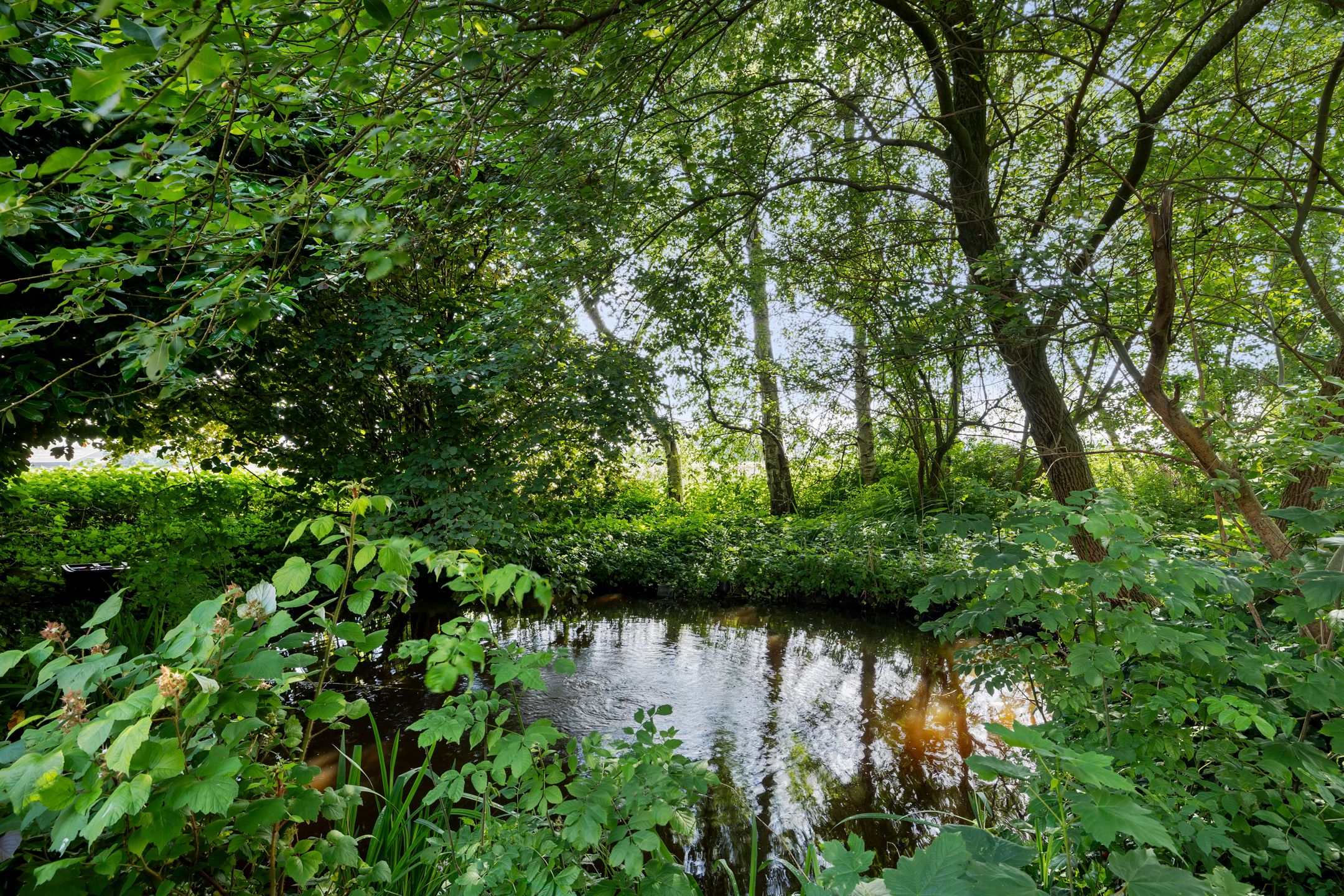 Foto 27 van Ossehaarseweg 9