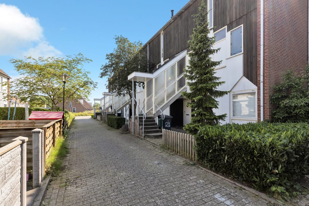 Foto 7 van Kanariesprenk 21