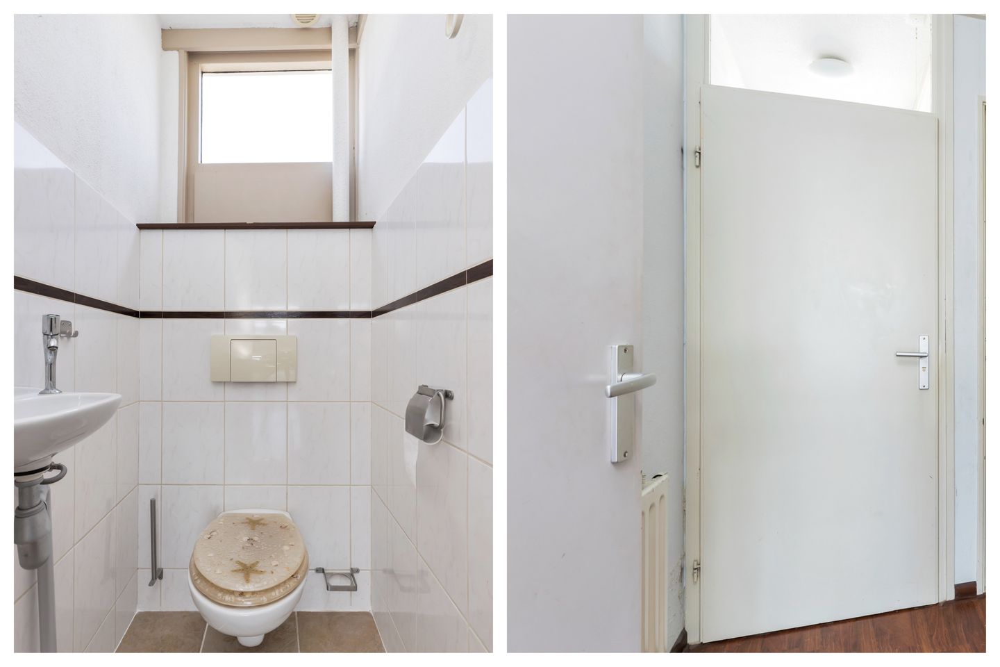 Foto 10 van Kanariesprenk 21