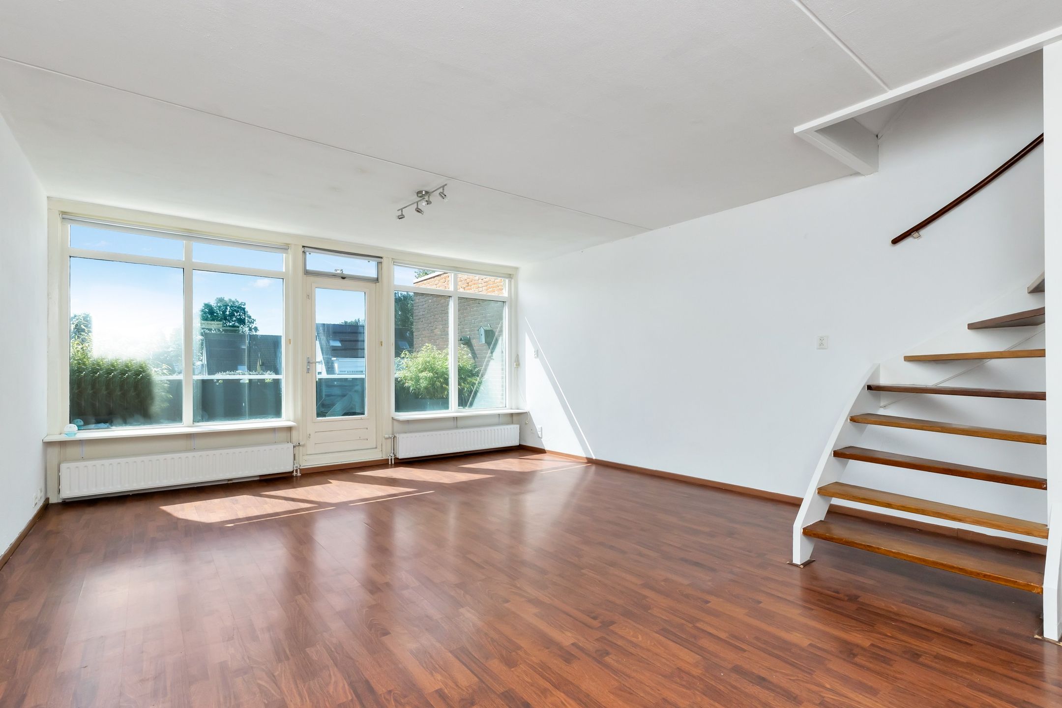 Foto 12 van Kanariesprenk 21