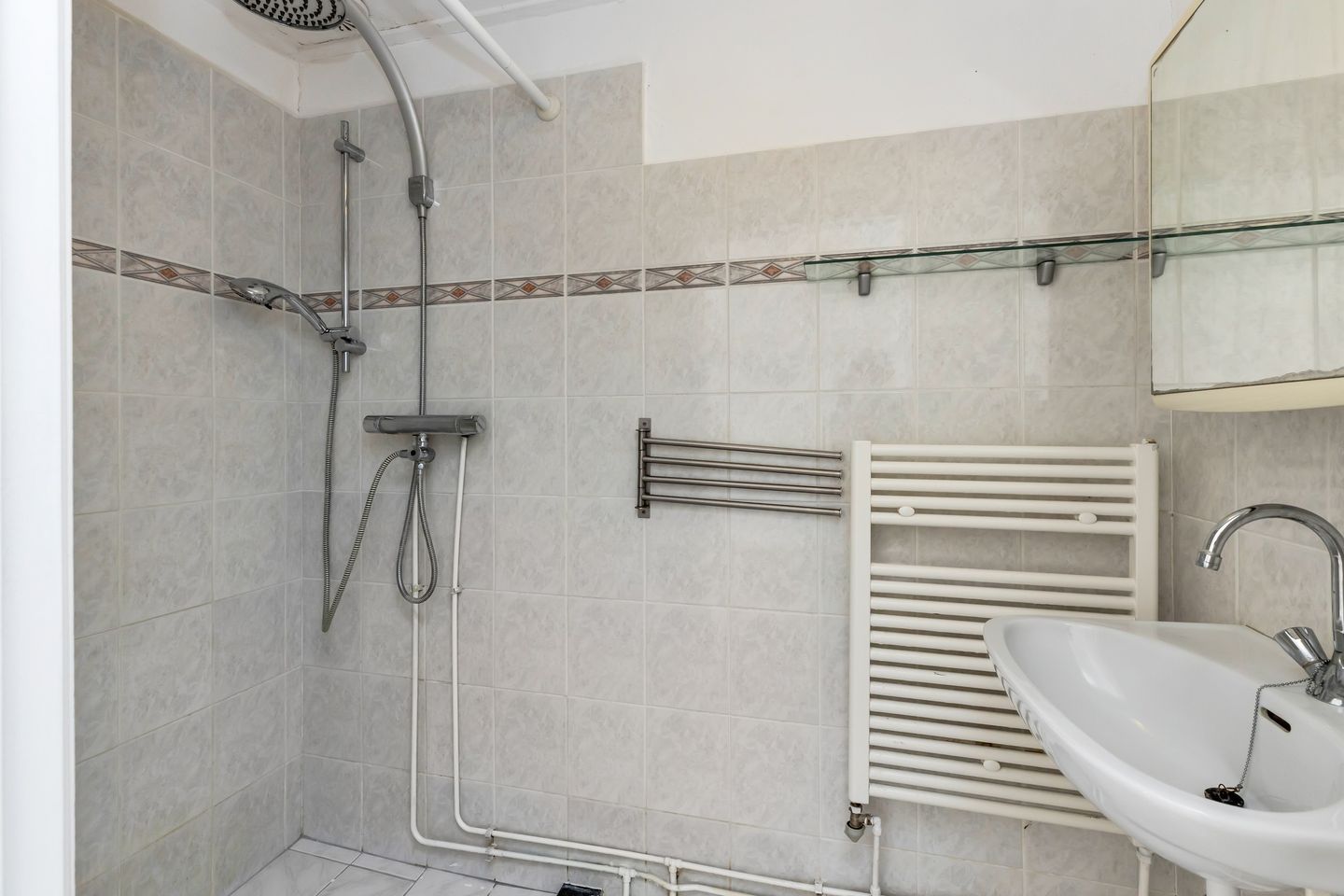 Foto 4 van Kanariesprenk 21