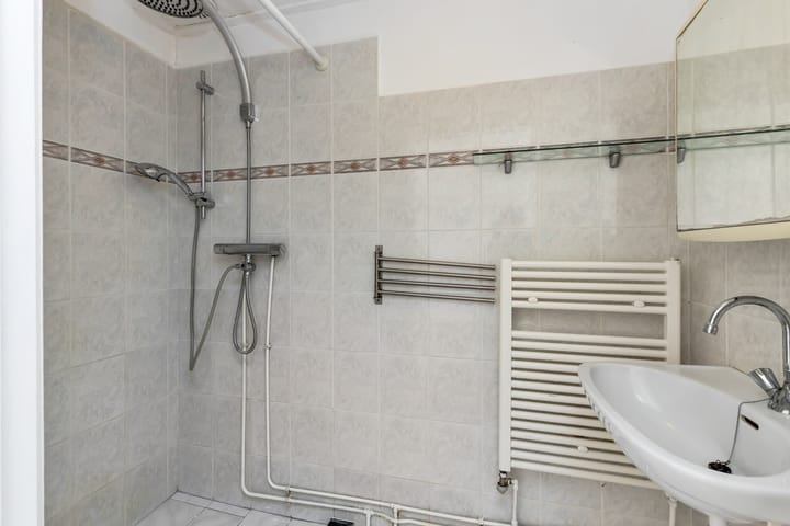 Foto 4 van Kanariesprenk 21