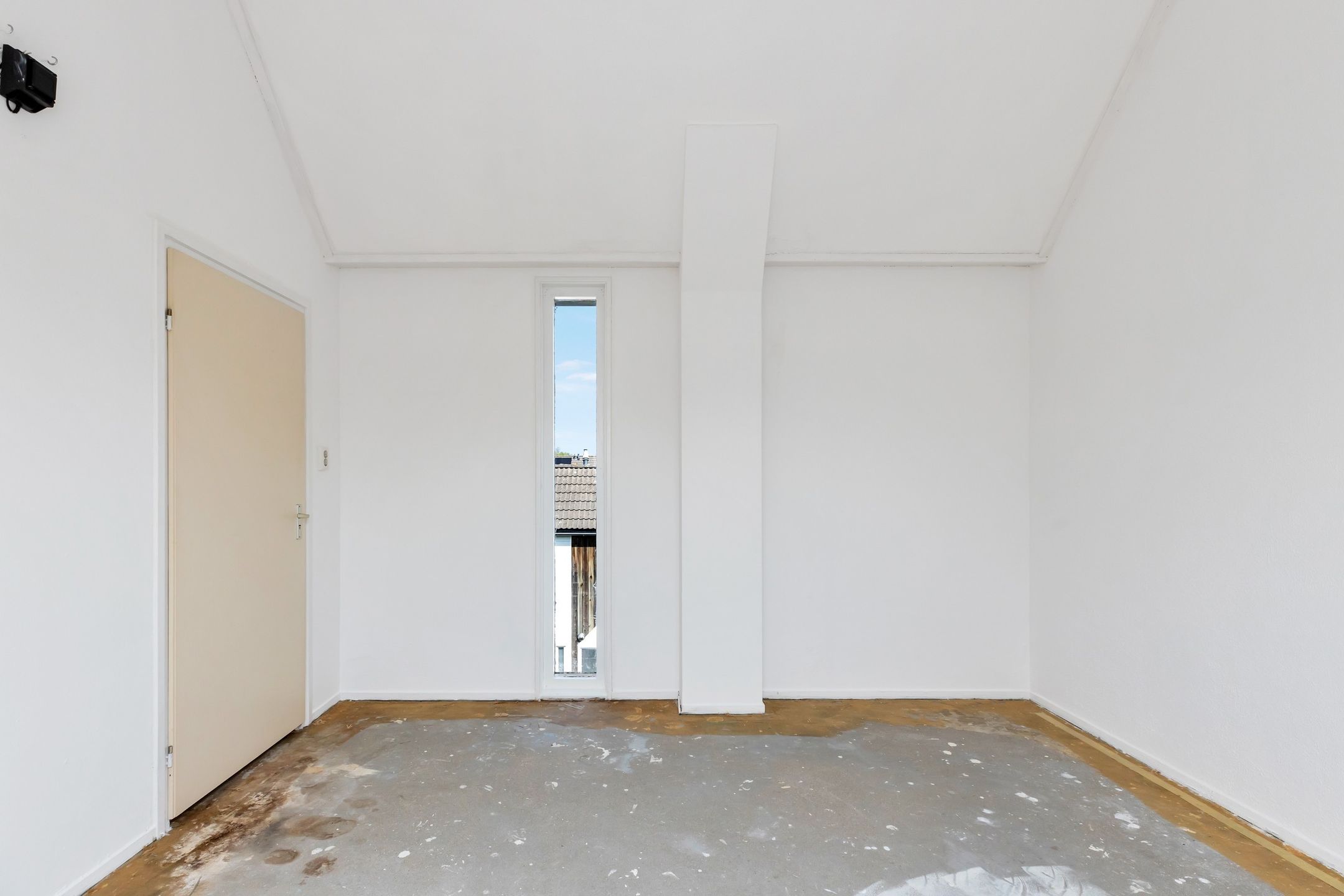 Foto 21 van Kanariesprenk 21