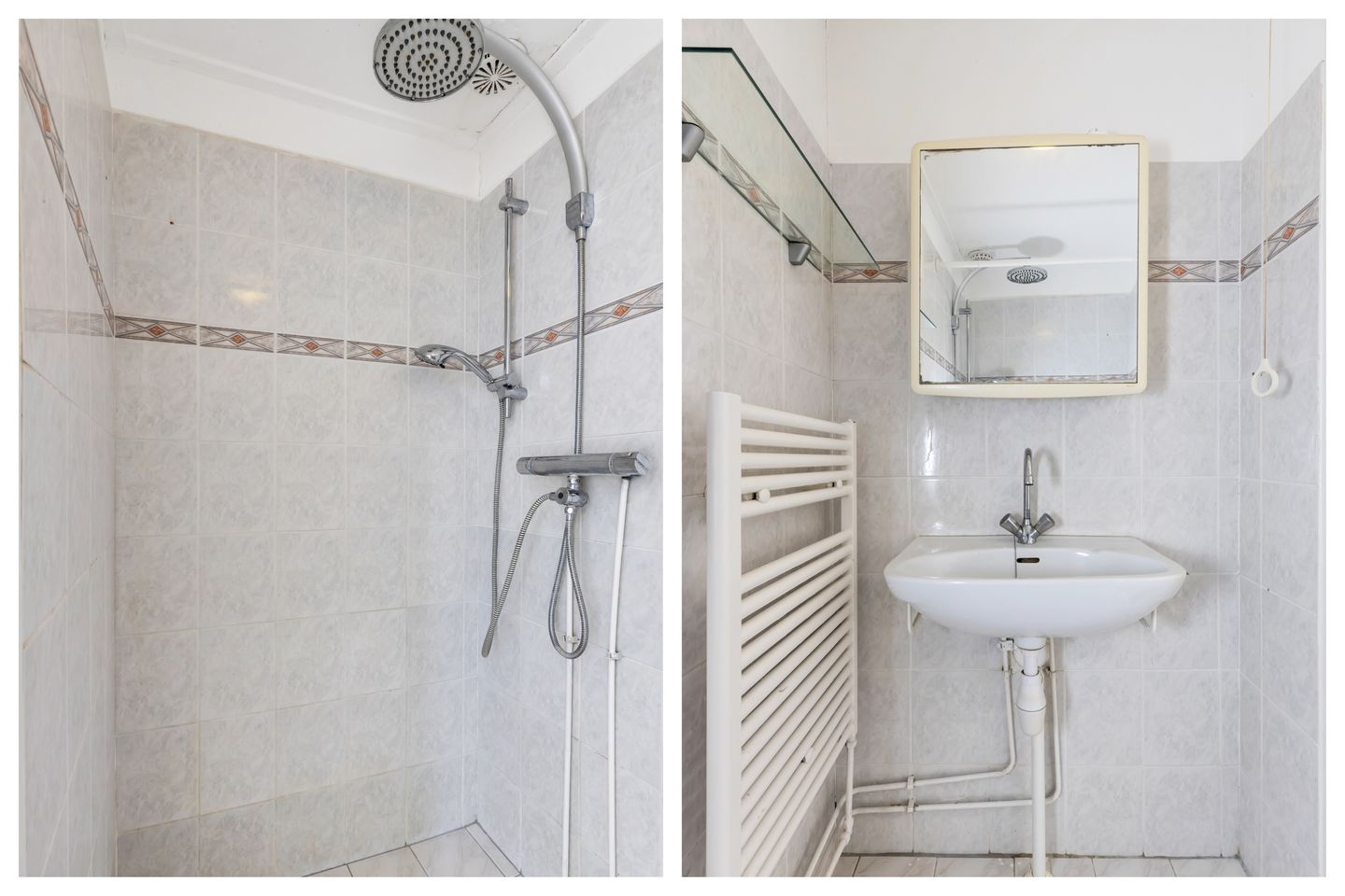 Foto 20 van Kanariesprenk 21