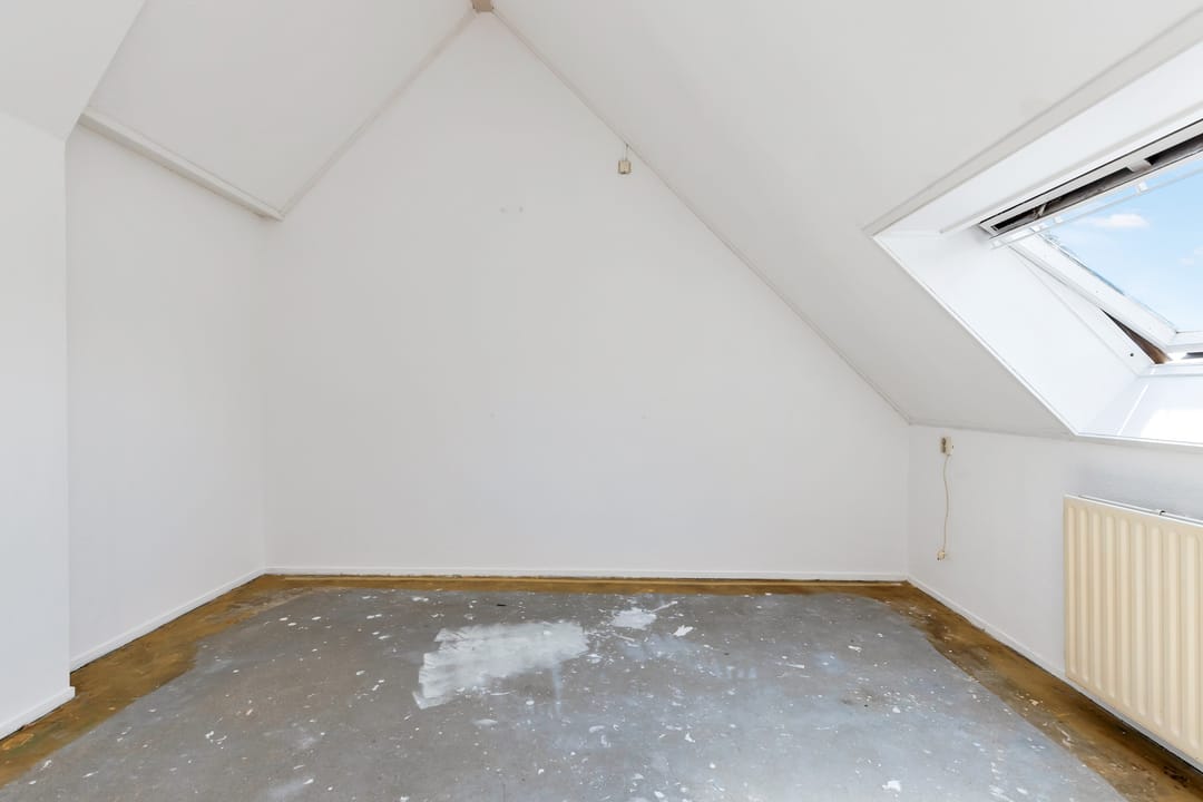 Foto 23 van Kanariesprenk 21