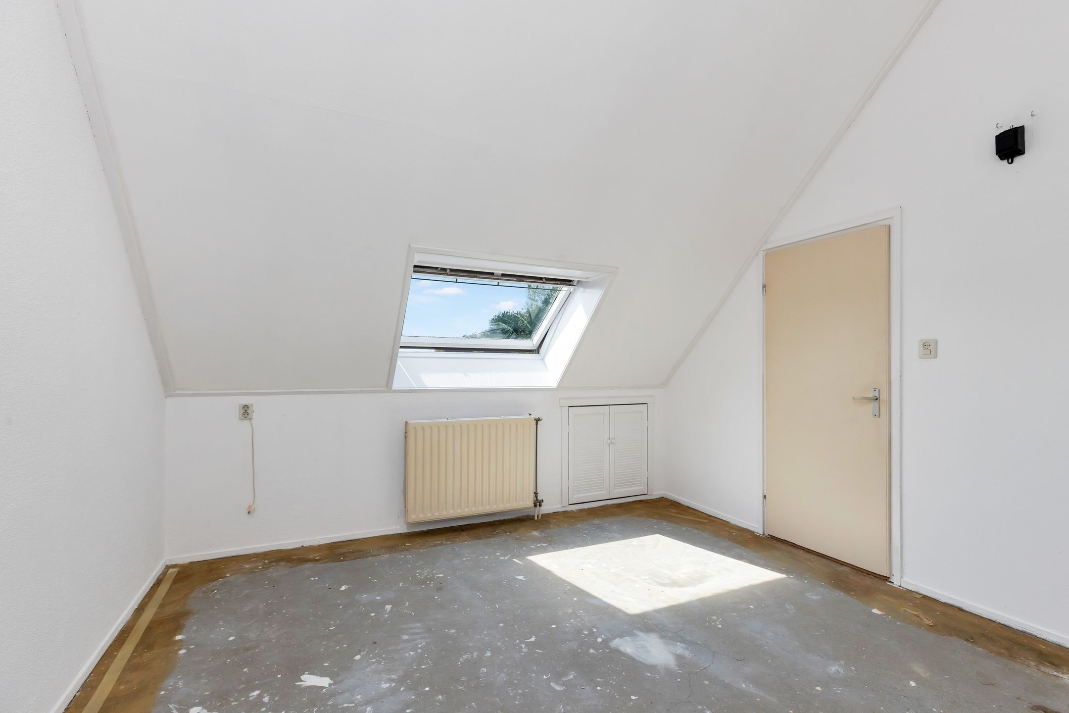 Foto 24 van Kanariesprenk 21