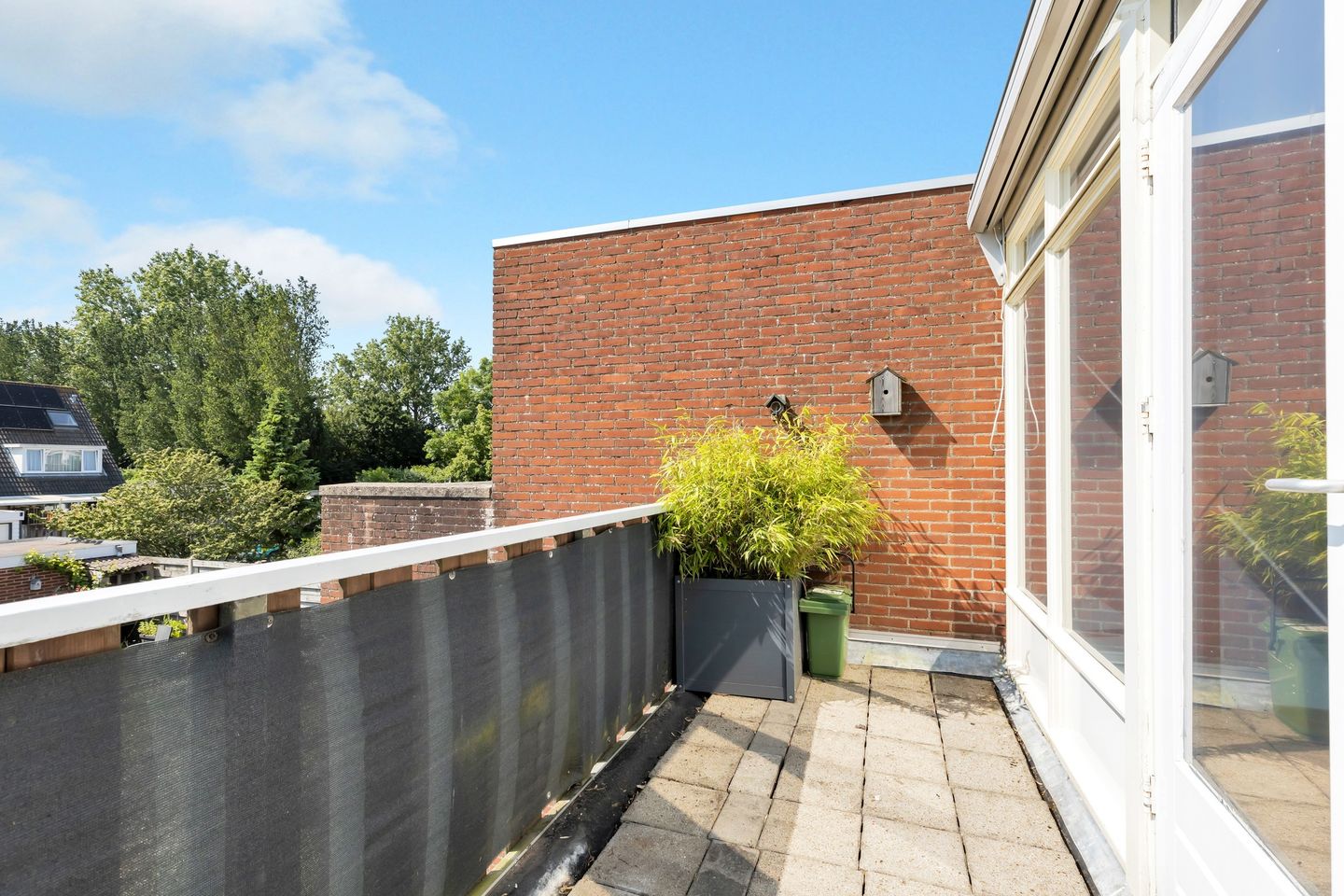 Foto 5 van Kanariesprenk 21