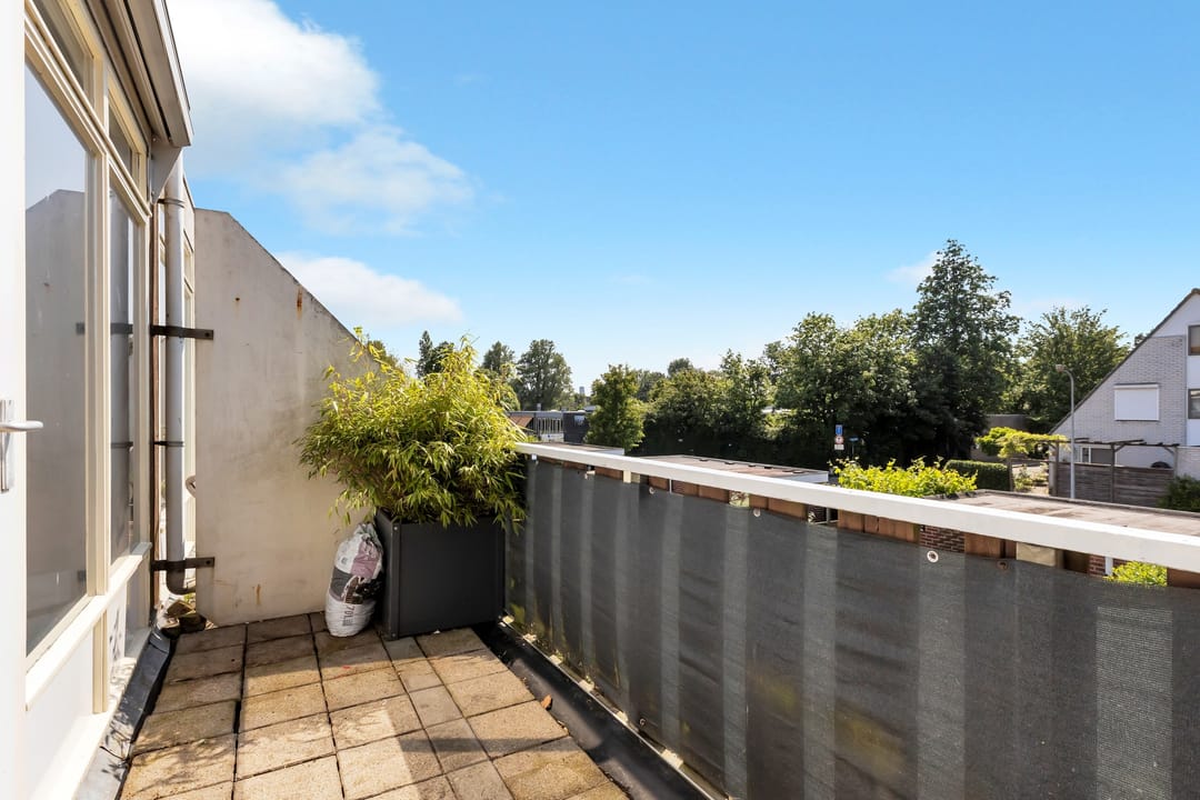 Foto 26 van Kanariesprenk 21