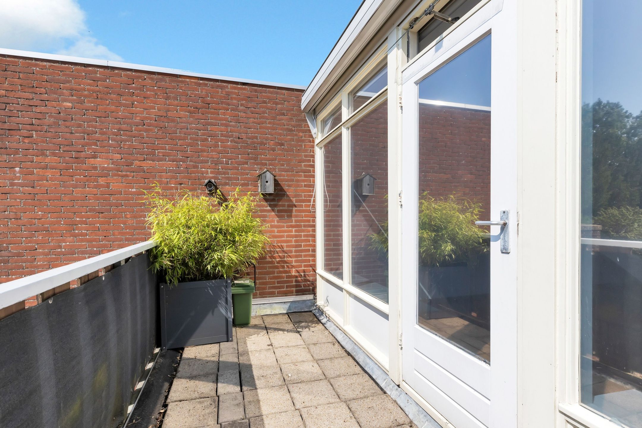 Foto 27 van Kanariesprenk 21