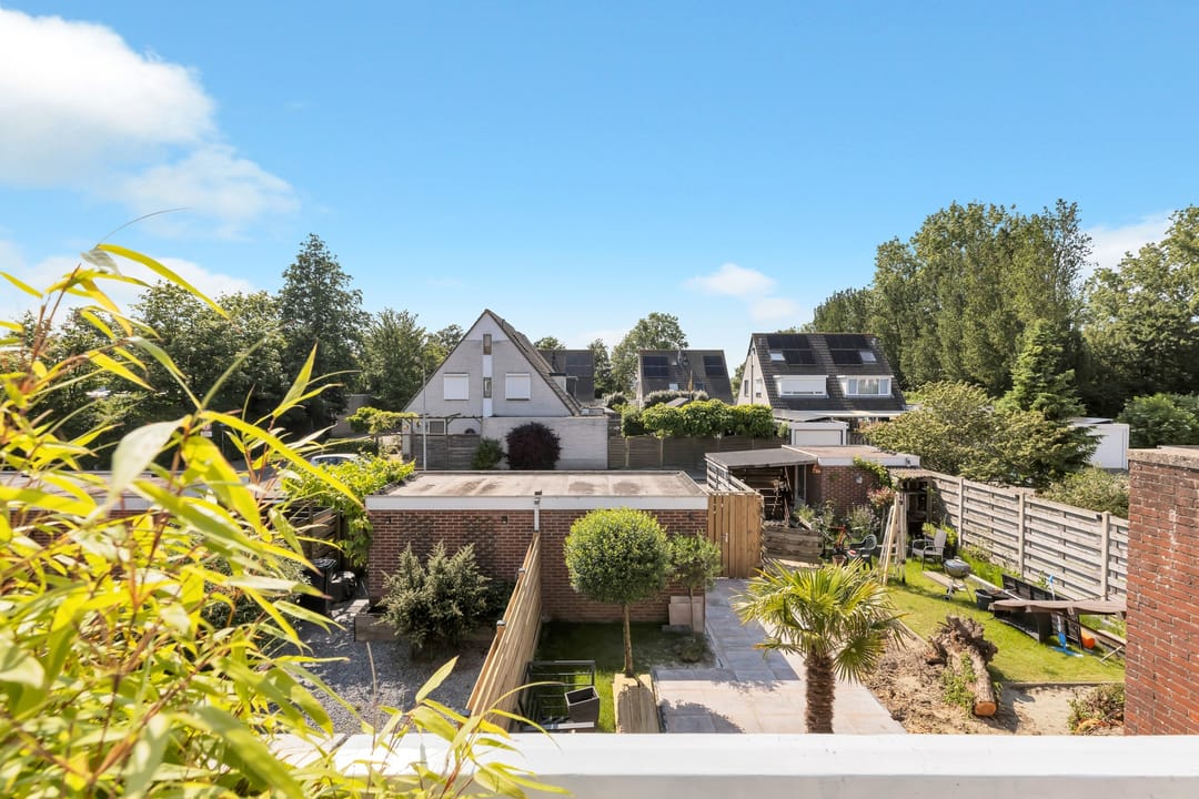 Foto 28 van Kanariesprenk 21