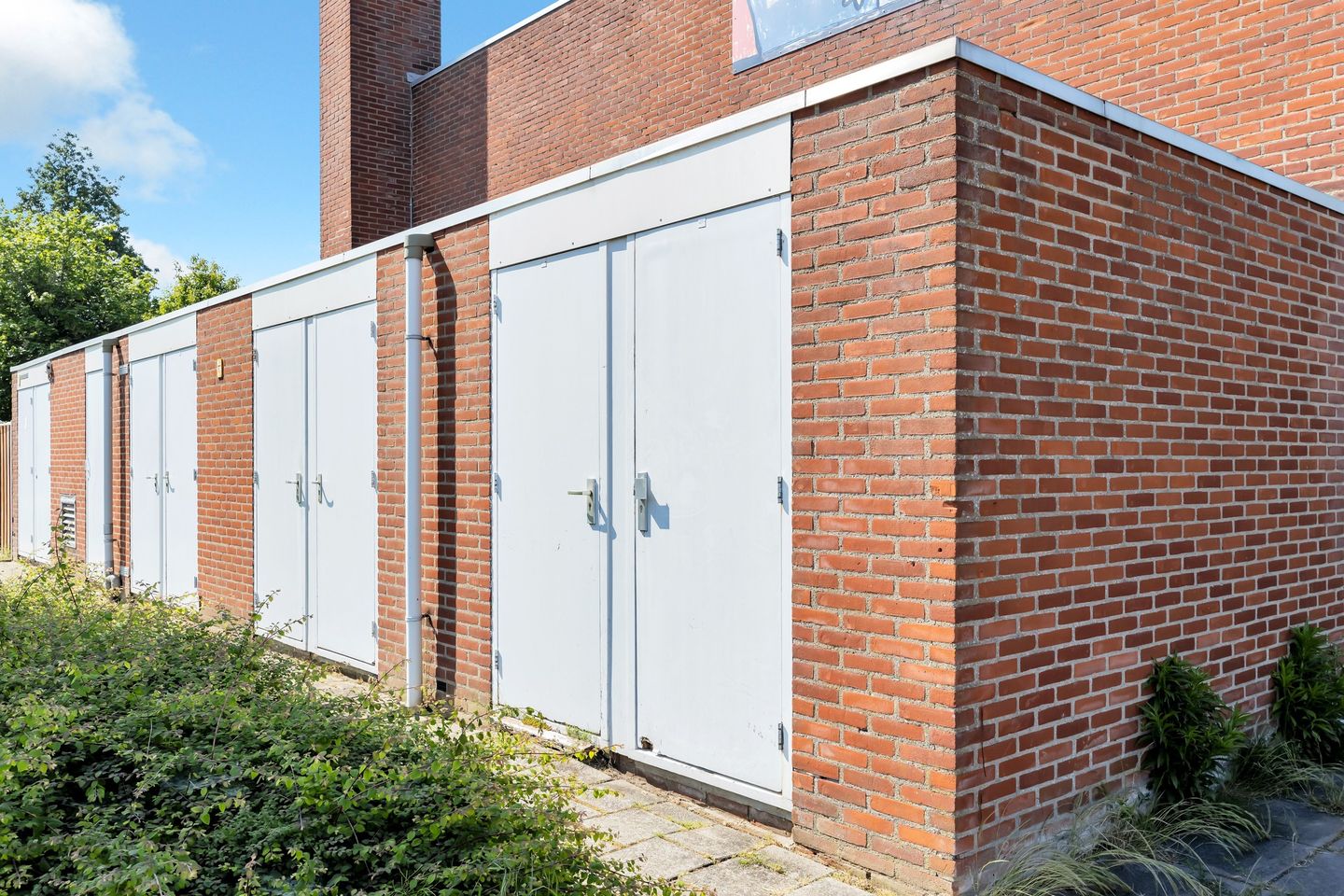 Foto 29 van Kanariesprenk 21