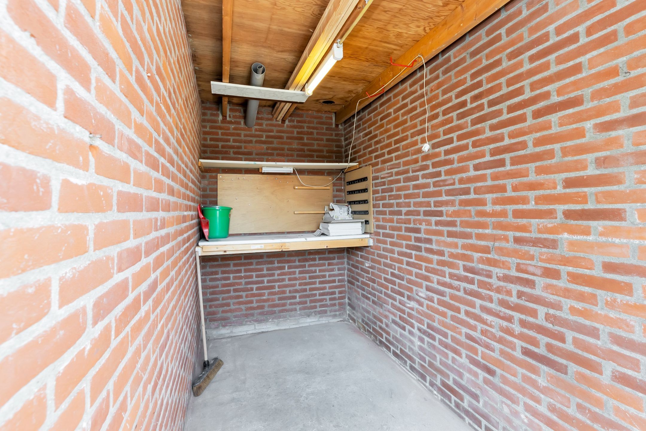 Foto 30 van Kanariesprenk 21