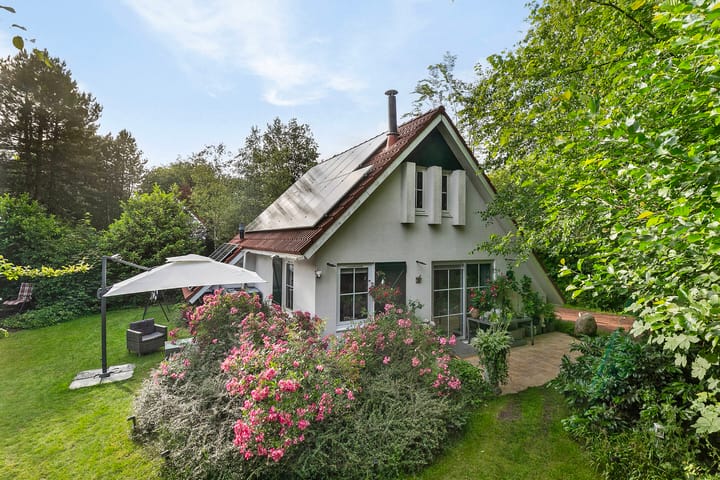 undefined main image