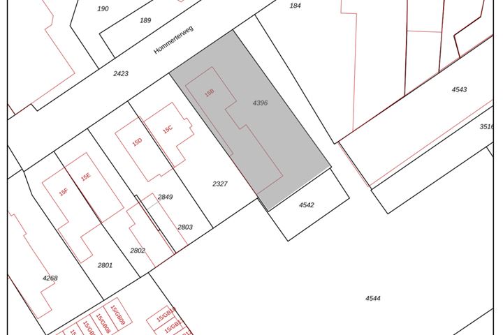 Bekijk foto 39 van Hommerterweg 15-B