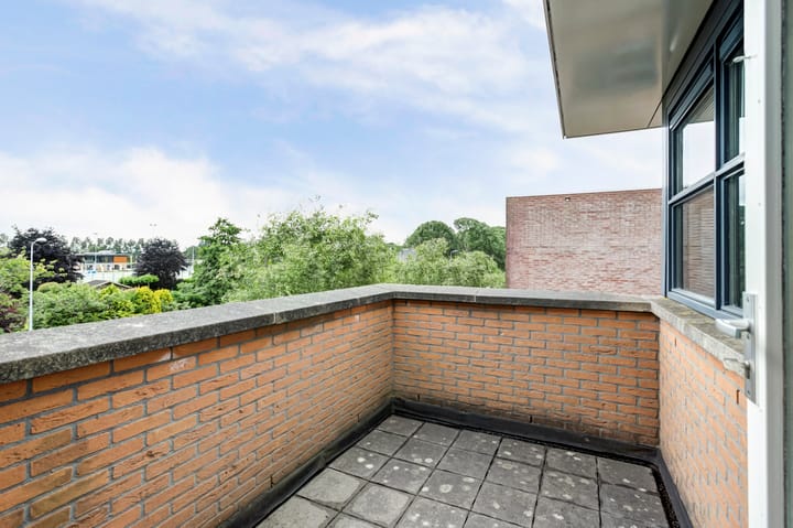 Foto 26 van Schapenweide 5