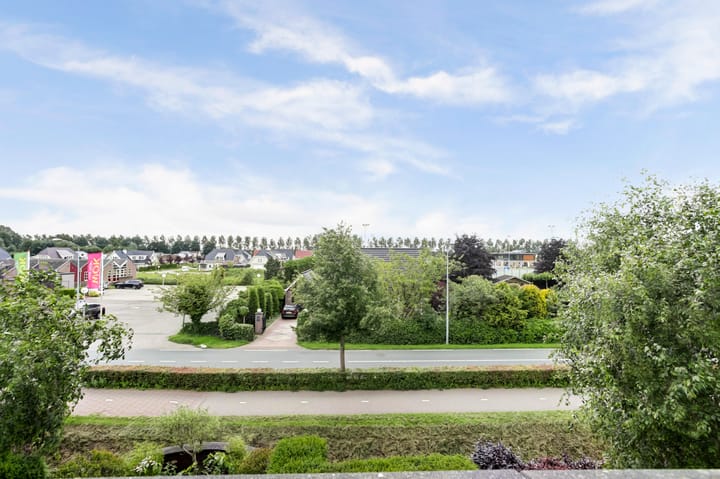 Foto 27 van Schapenweide 5