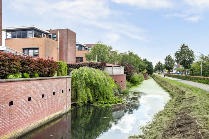 Foto 39 van Schapenweide 5