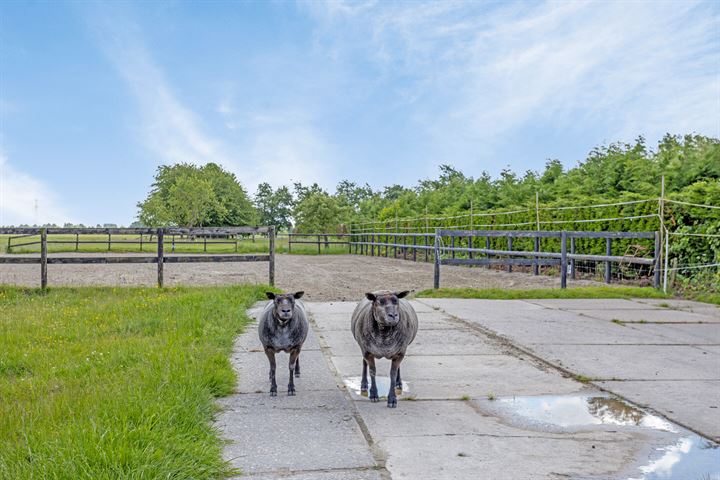 Bekijk foto 81 van Oosteinderweg 32