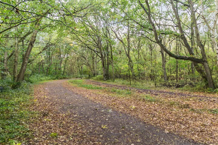 Foto 40 van Eikenlaan 4