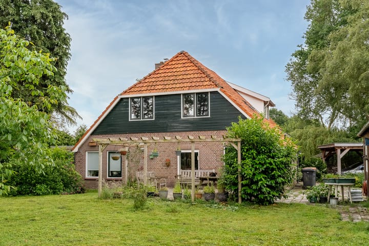 undefined main image