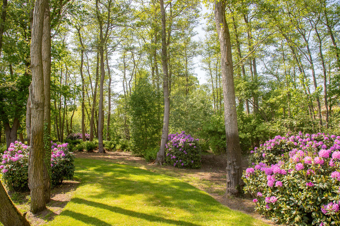 Foto 8 van Gemullehoekenweg 54