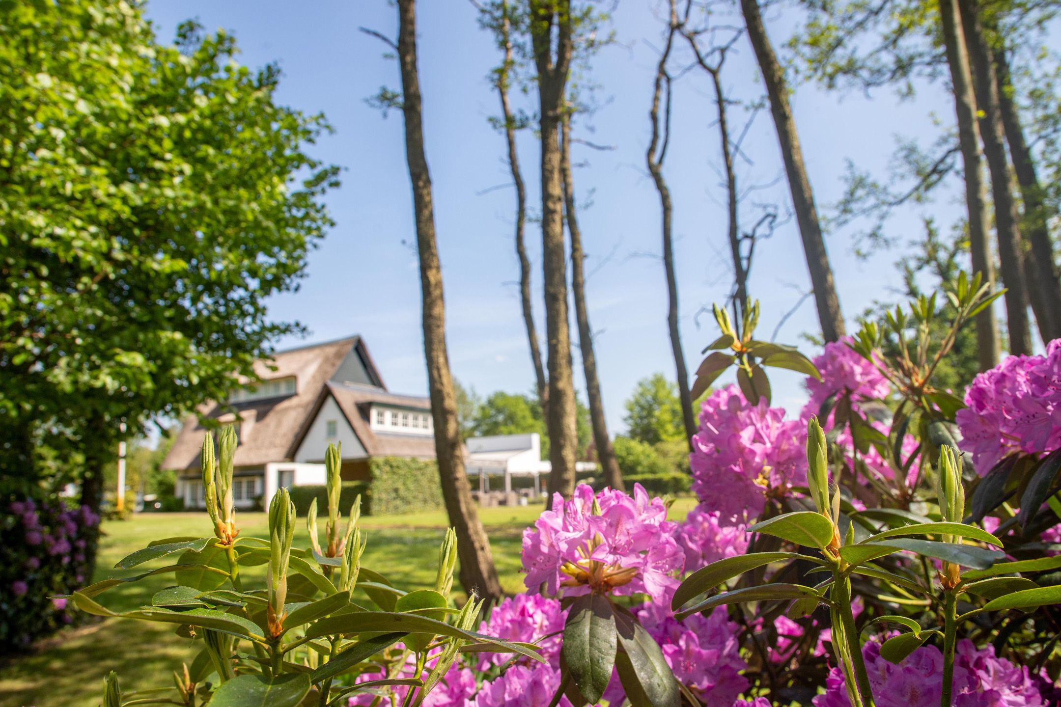 Foto 9 van Gemullehoekenweg 54