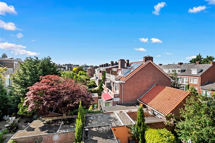 Bekijk foto 58 van Van Bleiswijkstraat 193