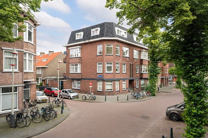 Bekijk foto 3 van Linnaeusstraat 111