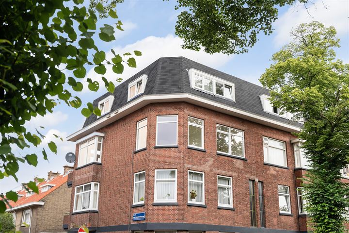 Bekijk foto 33 van Linnaeusstraat 111