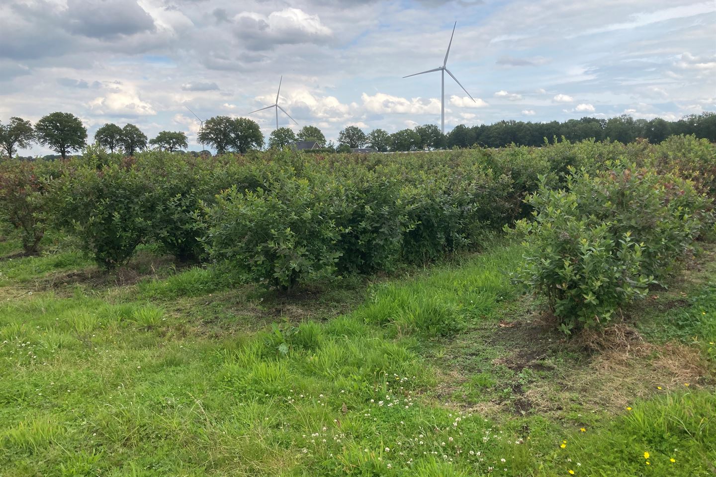 Bekijk foto 2 van Zwarteboordweg