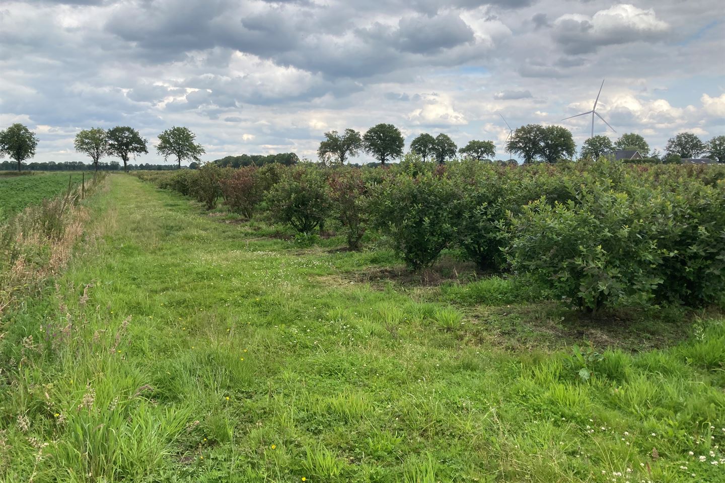 Bekijk foto 3 van Zwarteboordweg