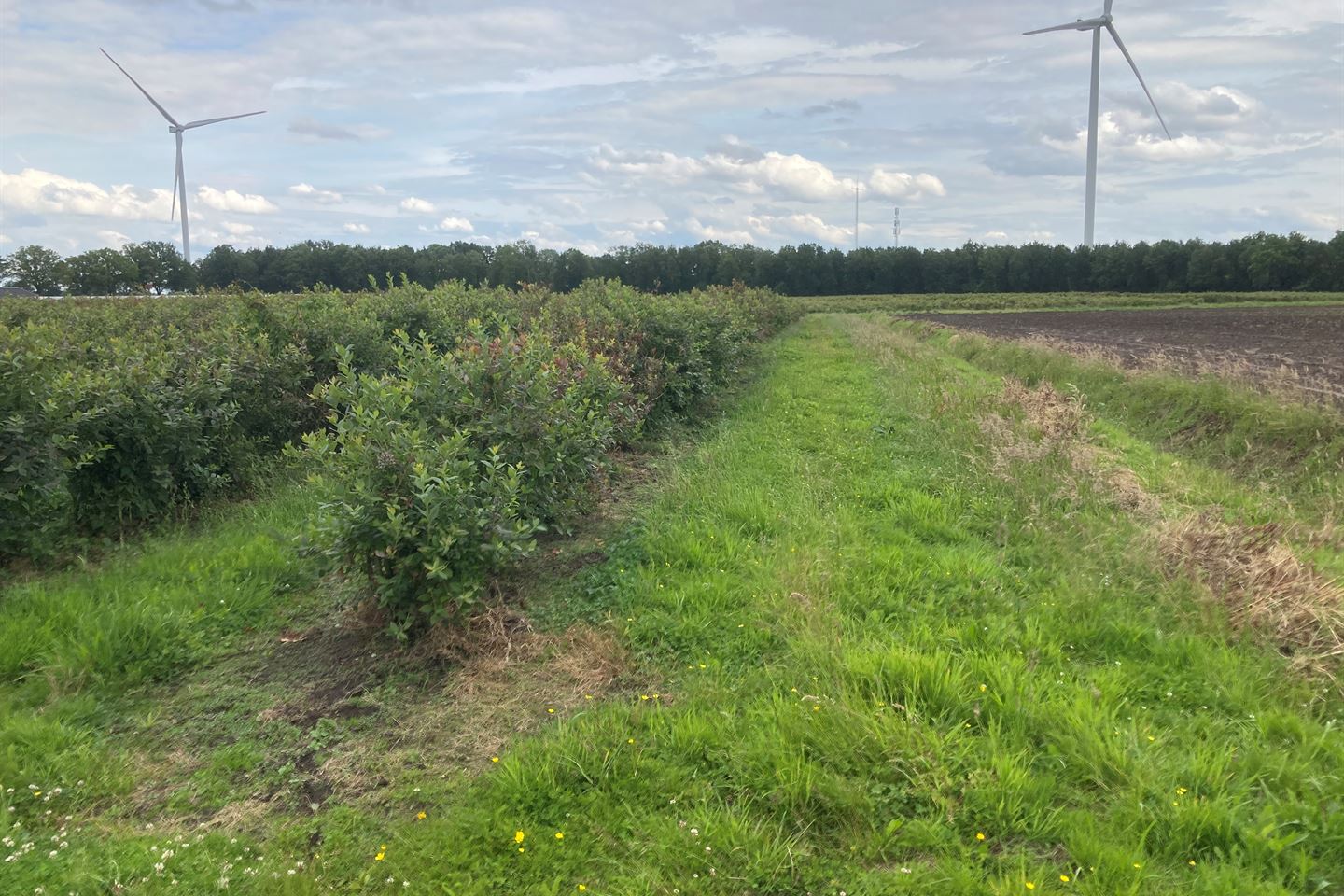 Bekijk foto 4 van Zwarteboordweg