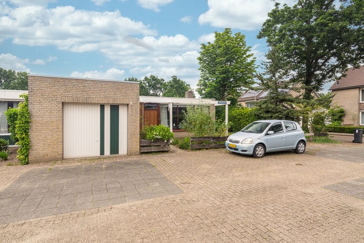 undefined main image