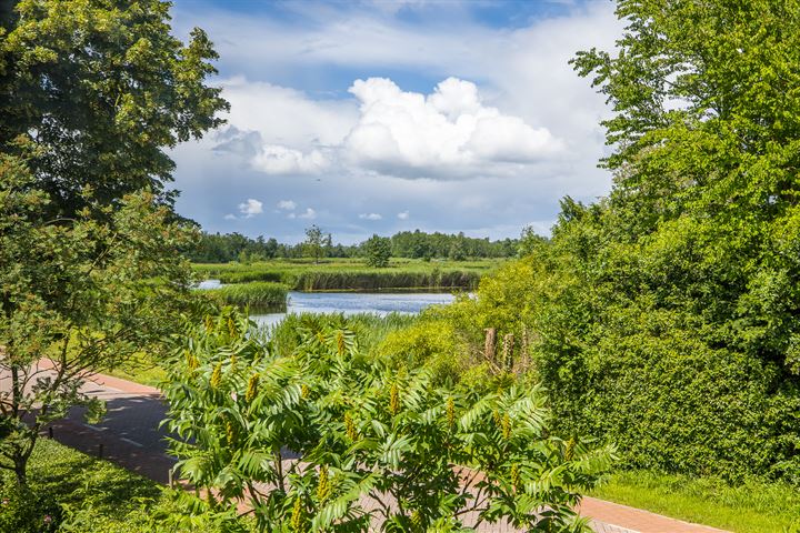 Bekijk foto 40 van Westbroekse Binnenweg 18