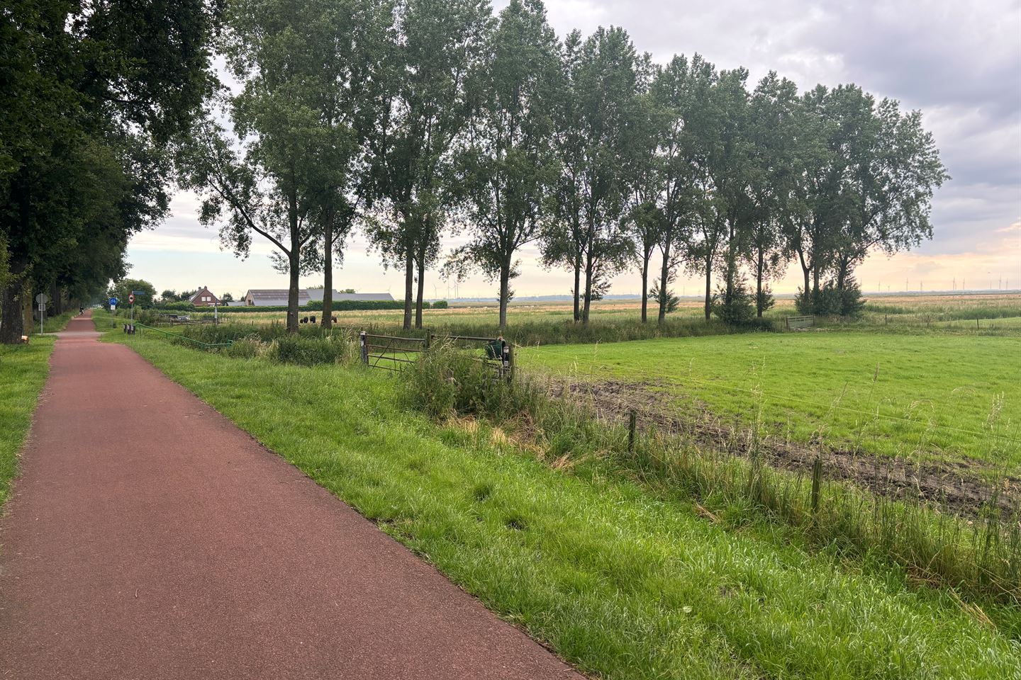 Bekijk foto 5 van Meentweg