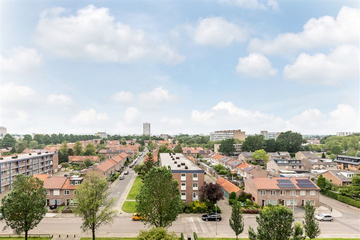 Bekijk foto van Trekvogelweg 245