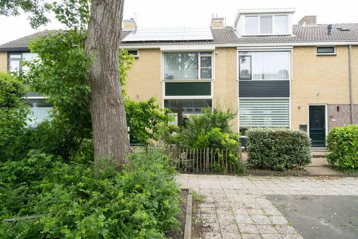 undefined main image