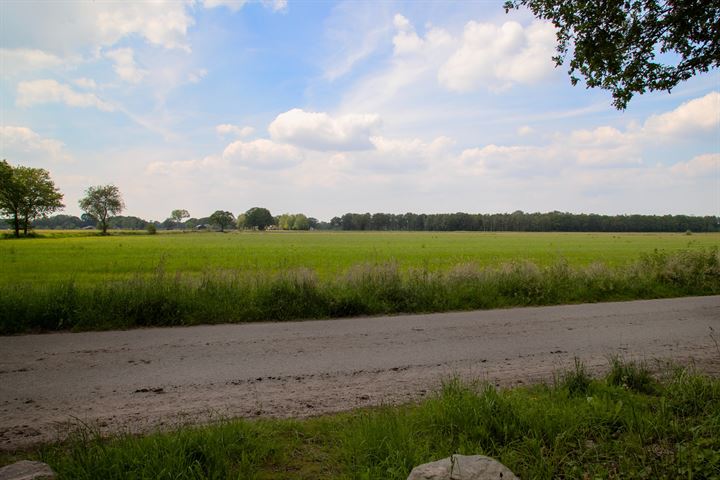 Bekijk foto 35 van Westelbeersedijk 6-R114