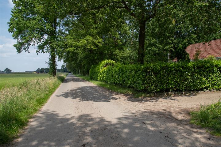 Bekijk foto 36 van Westelbeersedijk 6-R114