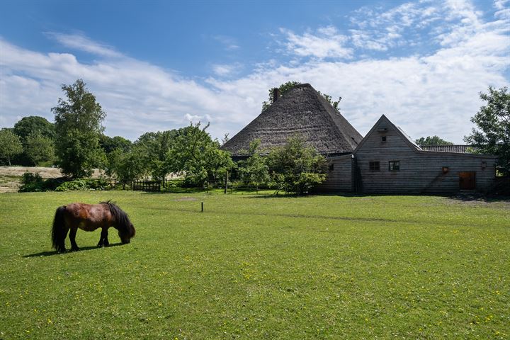 Bekijk foto 42 van Oostdijk 37