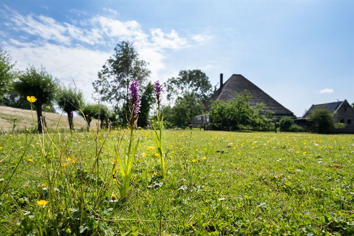 Bekijk foto 43 van Oostdijk 37