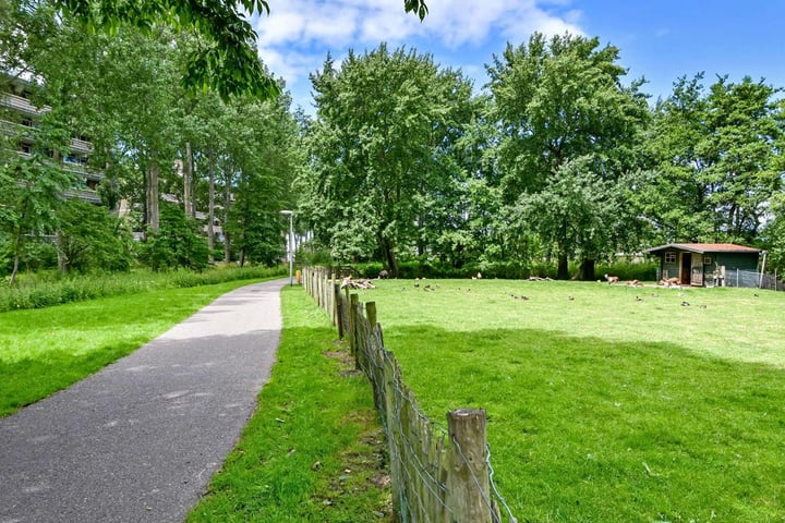 Bekijk foto 50 van Van Polanenpark 266