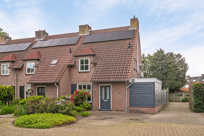 undefined main image