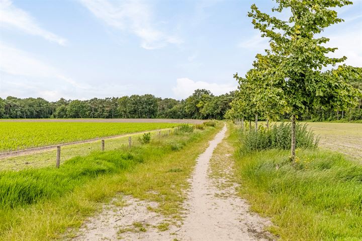 Bekijk foto 34 van Boekweitstraat 24