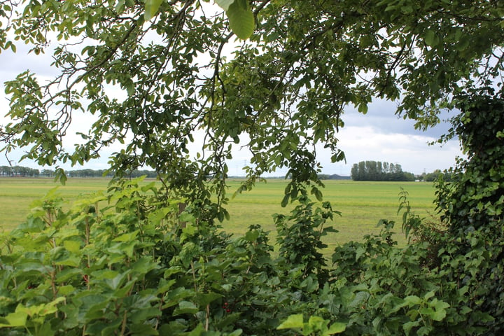 Bekijk foto 4 van Oudlandstraat 15