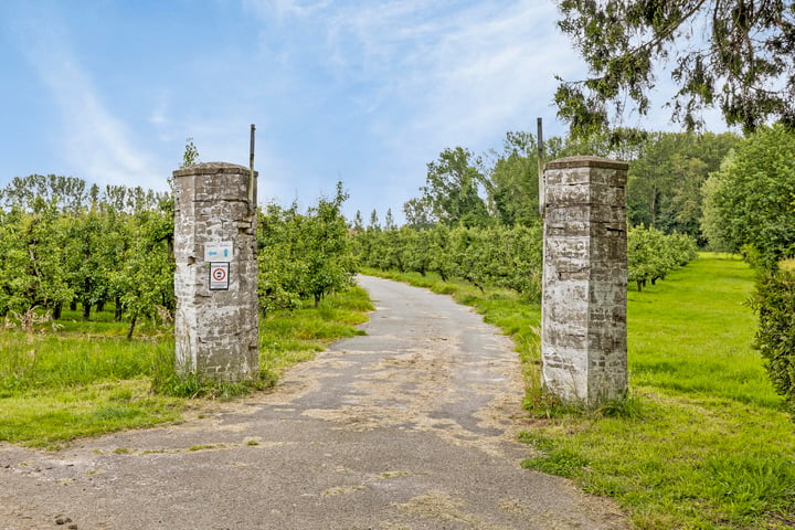 Bekijk foto 39 van Boskantseweg 81