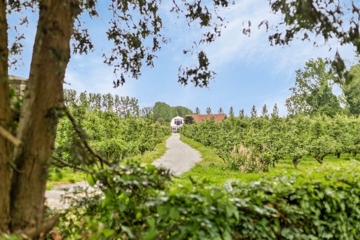 Bekijk foto 40 van Boskantseweg 81