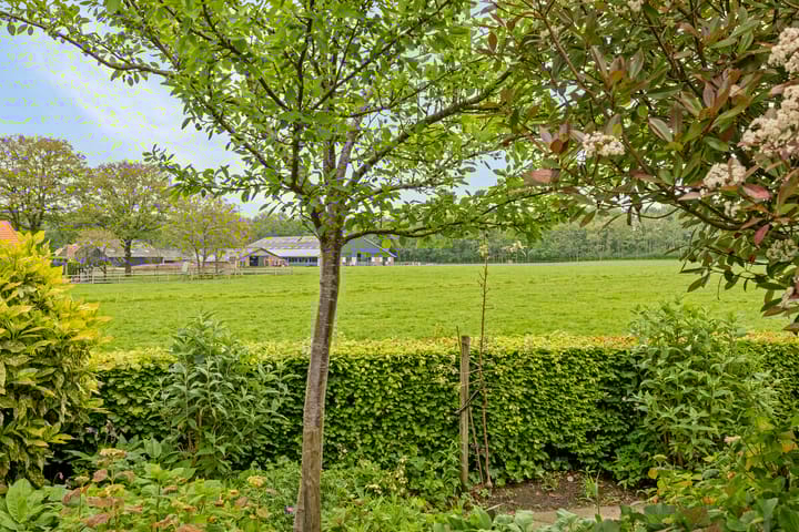 Foto 11 van 't Heering 5